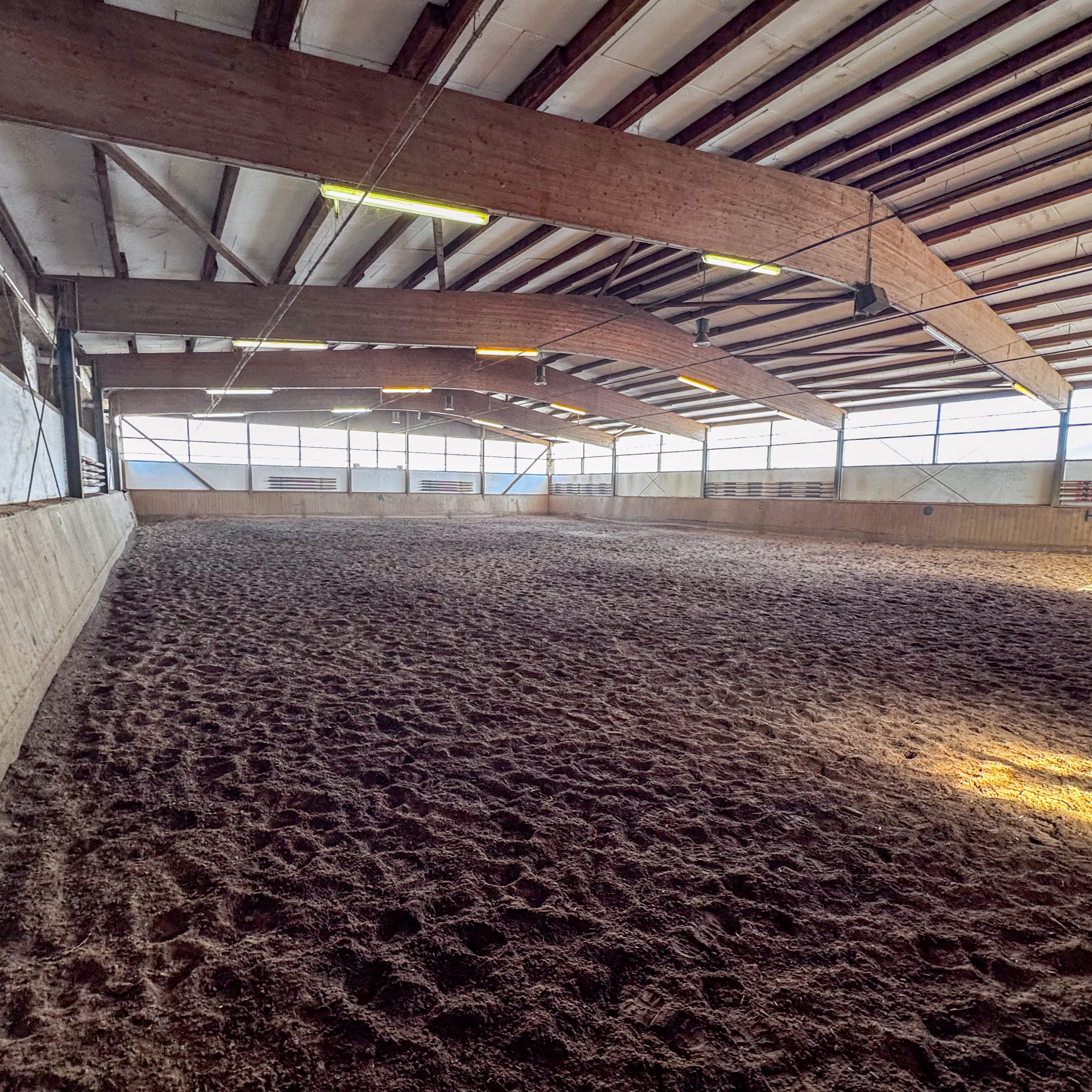 792m² moderne Reithalle mit professionellem Reitboden